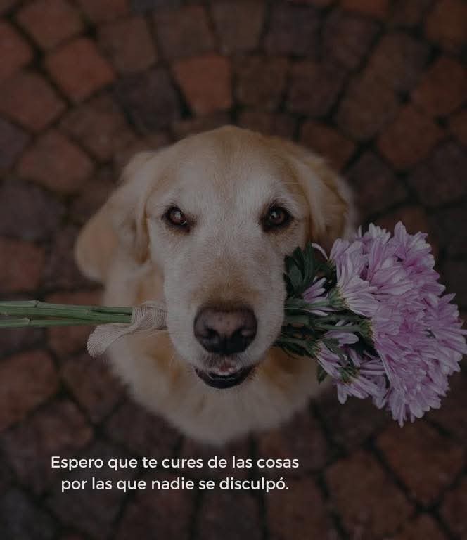 Lonely🥀 (@angelo_uf) on Twitter photo 