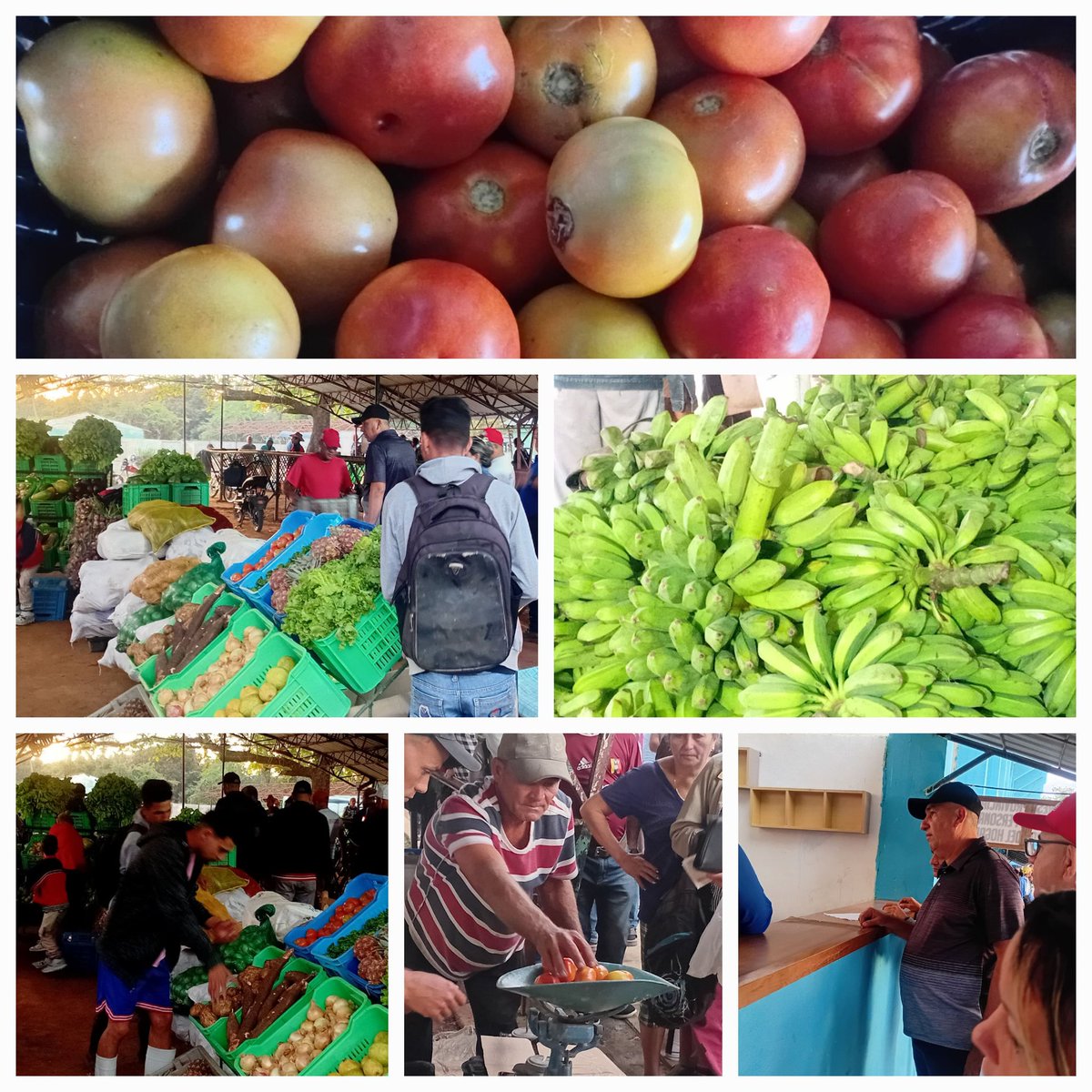 Feria agrocomercial en #LasTunas con variadas ofertas para el pueblo.
#SiSePuede
#PorLasTunasLaVictoria