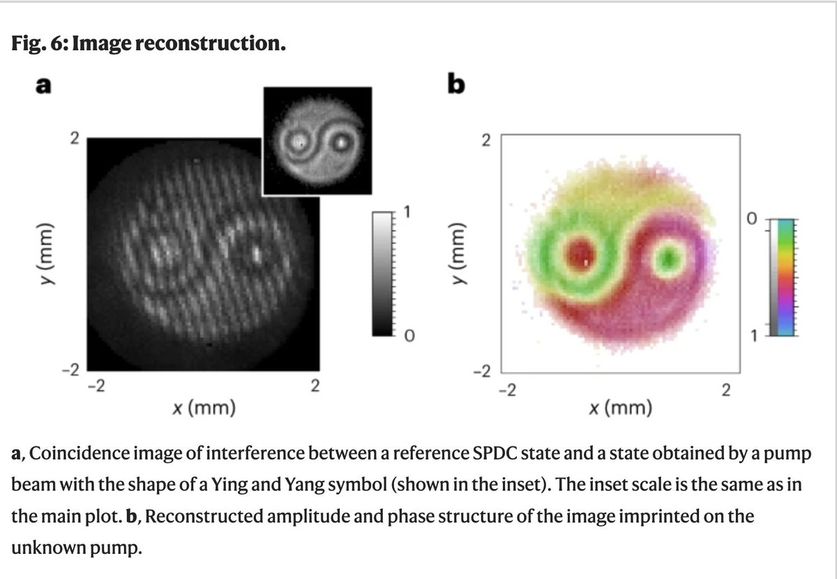SunHee Yoon tweet media