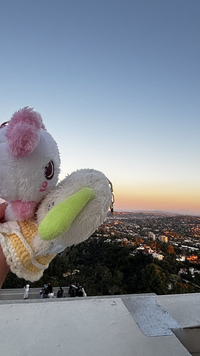 kitama_0ln tweet media