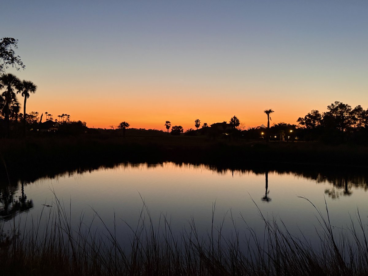 Pramod K Guru.MBBS,MD,DM,FASN tweet media