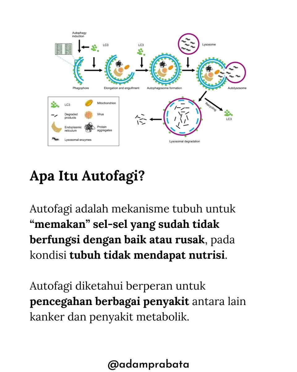 dr. Adam Prabata tweet media