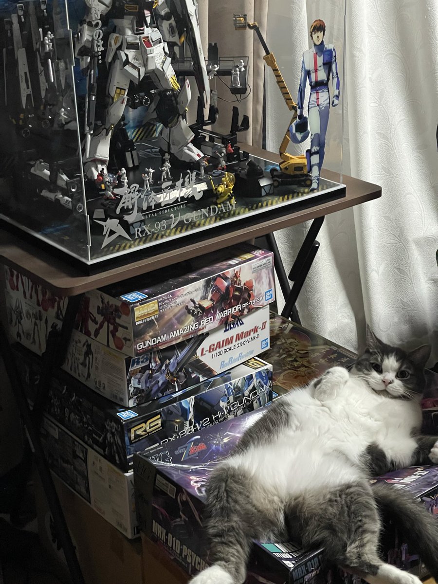#猫の日
模活の邪魔はするし、油断すると玩具を破壊されたこともある。だからプラモデラーや、こういう趣味を本気で楽しんでる人には正直おすすめしない。
…それでも俺は飼っちゃうけど🐱