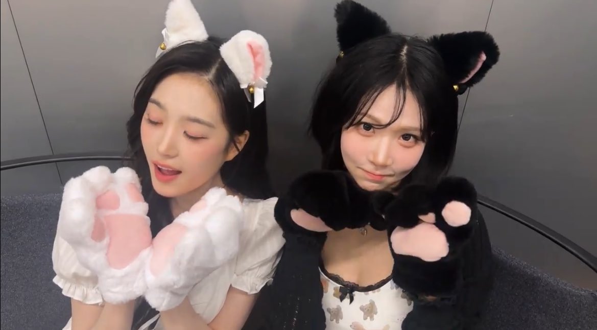 プロ猫(プロ猫)ナキ、さすがの可愛いさ🐈‍⬛