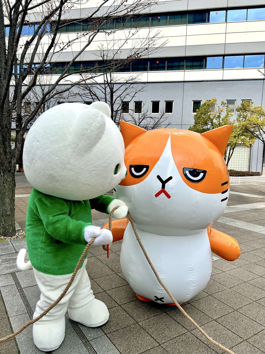 りそにゃ【公式】 (@re_hitorigoto) / Posts / X