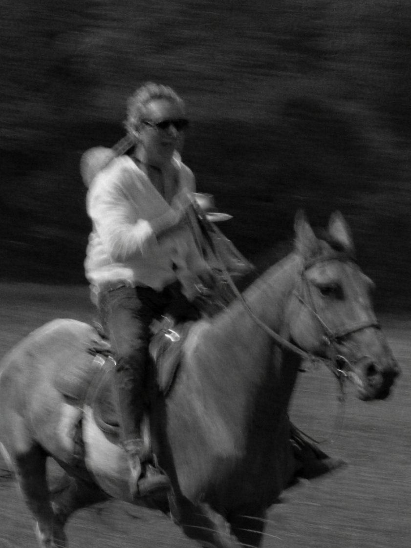 vivosinais's tweet photo. alexandre nero cavalgando. https://t.co/Nhg780DDIe
