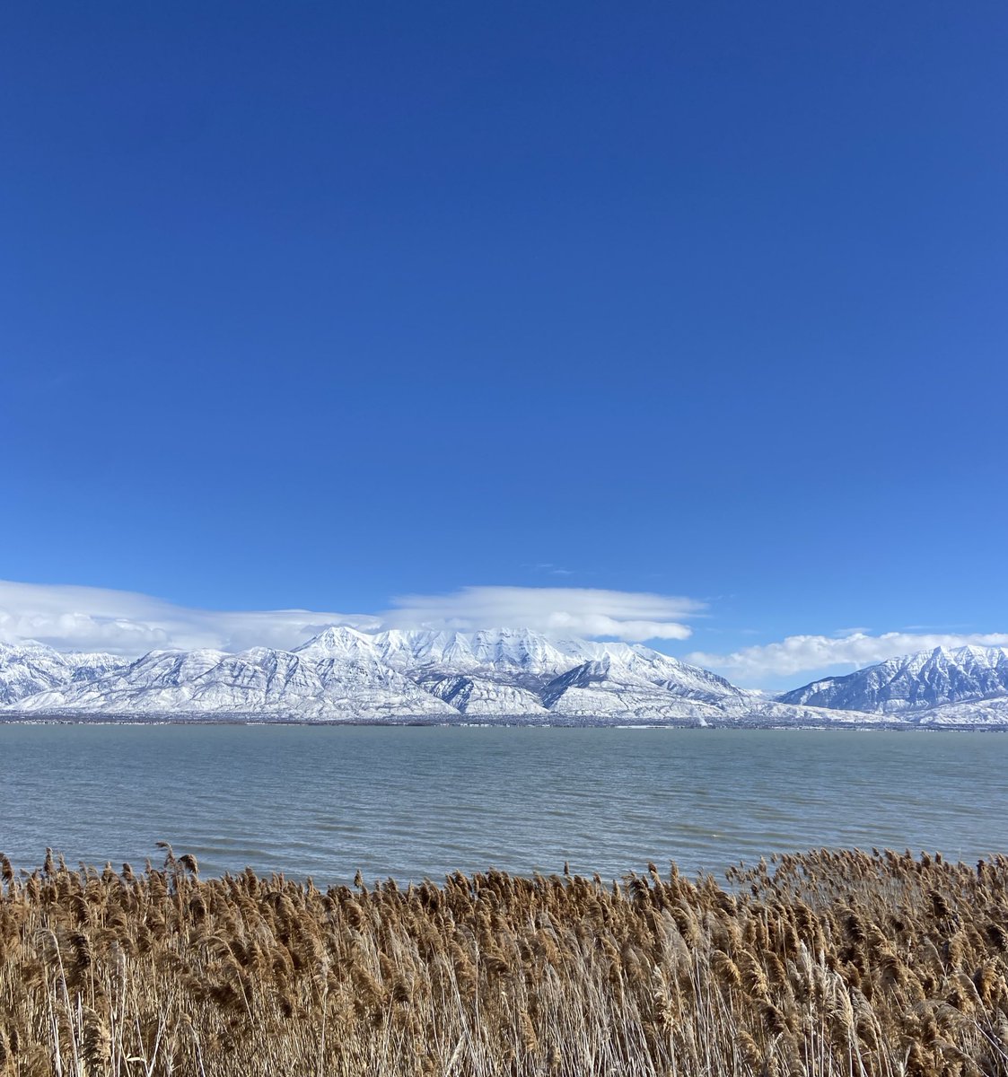 I love crisp cold sunny winter walks!