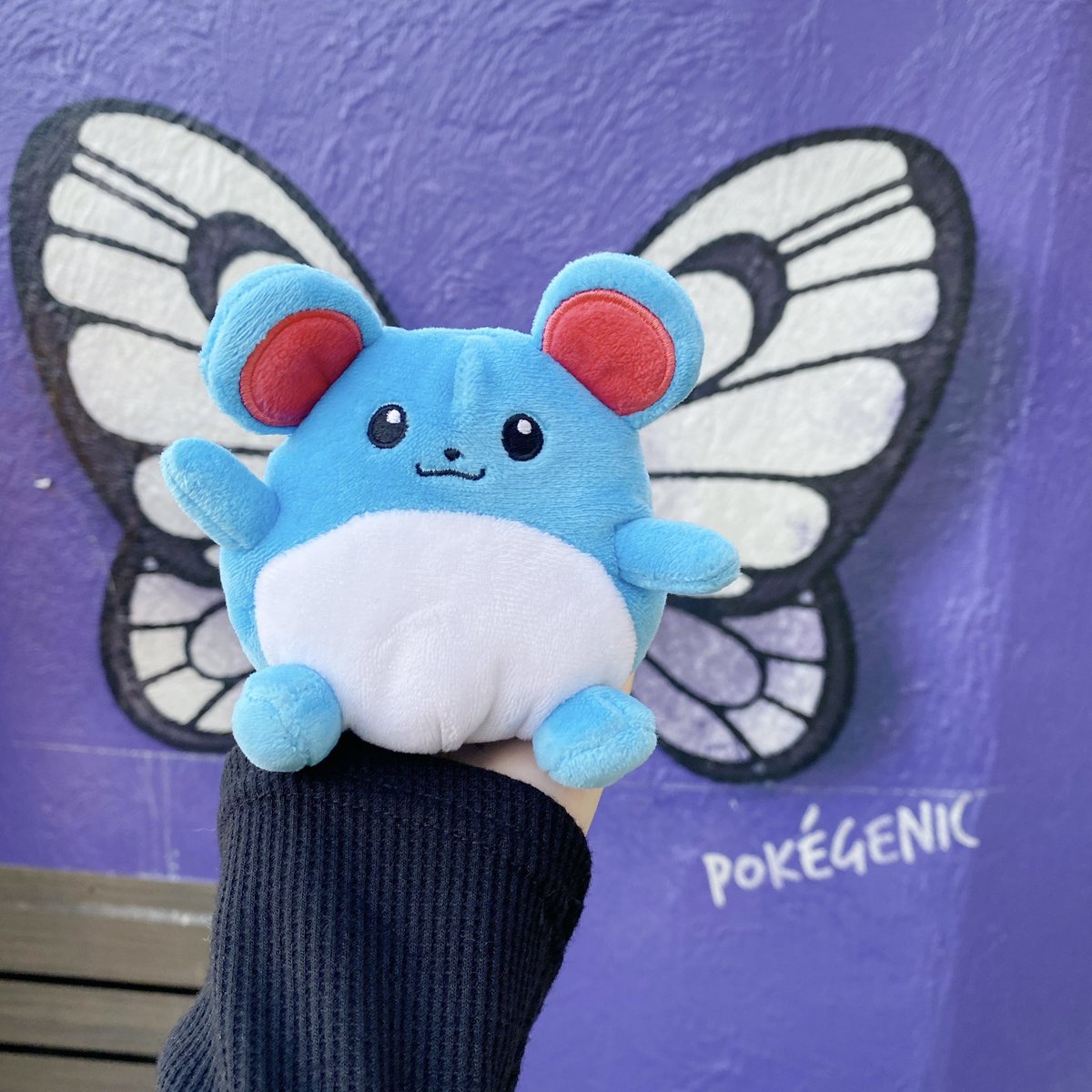 うに🐻‍❄️ tweet media