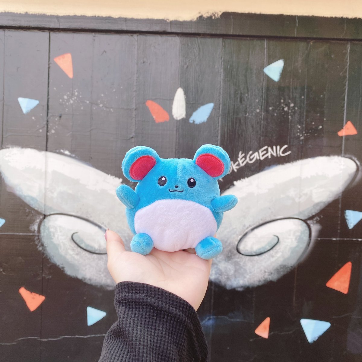 うに🐻‍❄️ tweet media