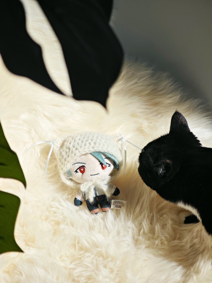 ﾁﾘﾁｬﾝ ｺﾞﾊﾝﾄﾁｬｳﾃﾞ…….?💧