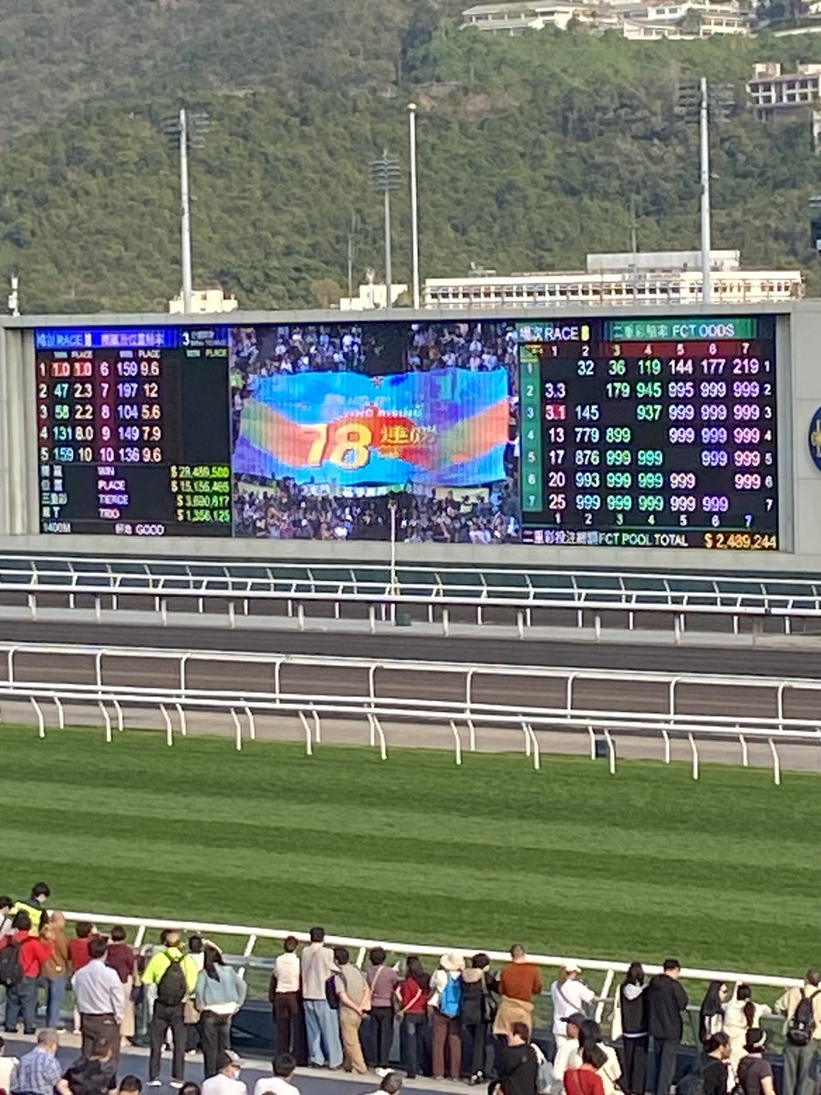 あらきた tweet media