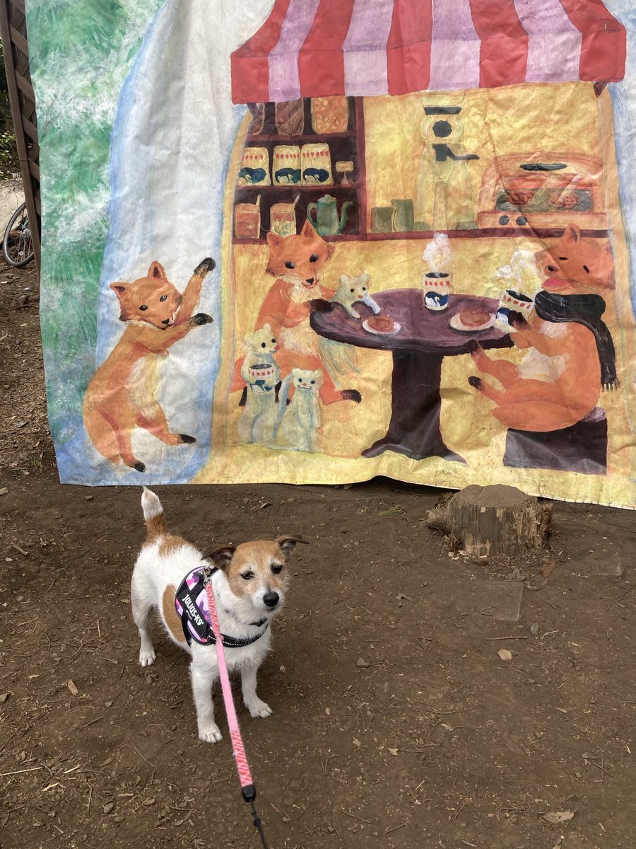 井の頭公園お散歩
#ジャックラッセルテリア