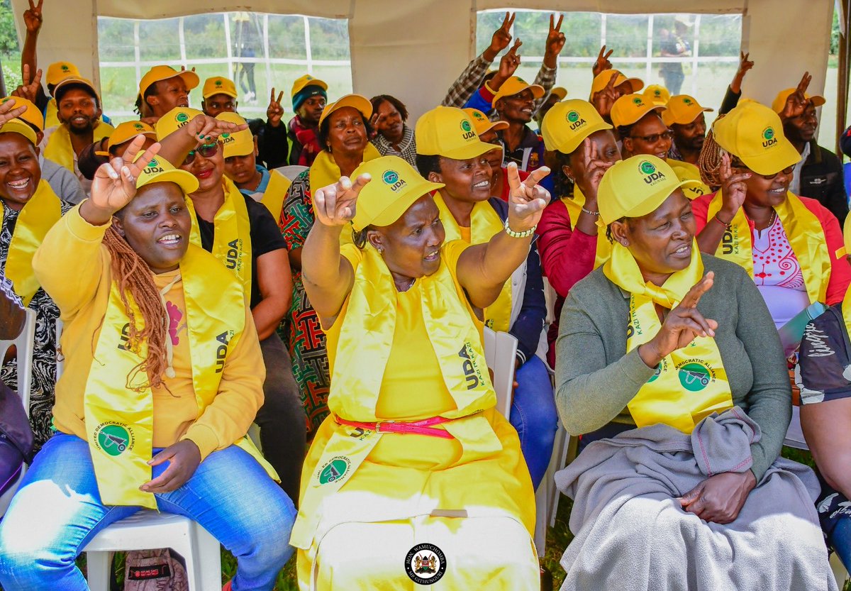 Hon.Gathoni Wamuchomba, HSC, MP tweet media