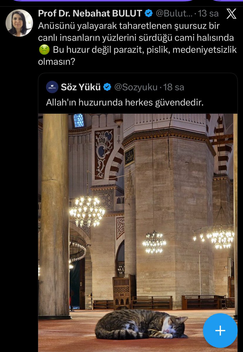 Bedriyeyazar's tweet photo. 😺 Kedilerin sık sık kendilerini yalamaları Bu davranış, kedilerin doğuştan gelen bir özelliğidir ve onların temiz, sağlıklı ve mutlu kalmalarını sağlar. Yalamak, kedilerin tüylerini düzenlemesine, ölü deri ve tüyleri temizlemesine yardımcı olur.
#Oytun https://t.co/8lOMo2zClk