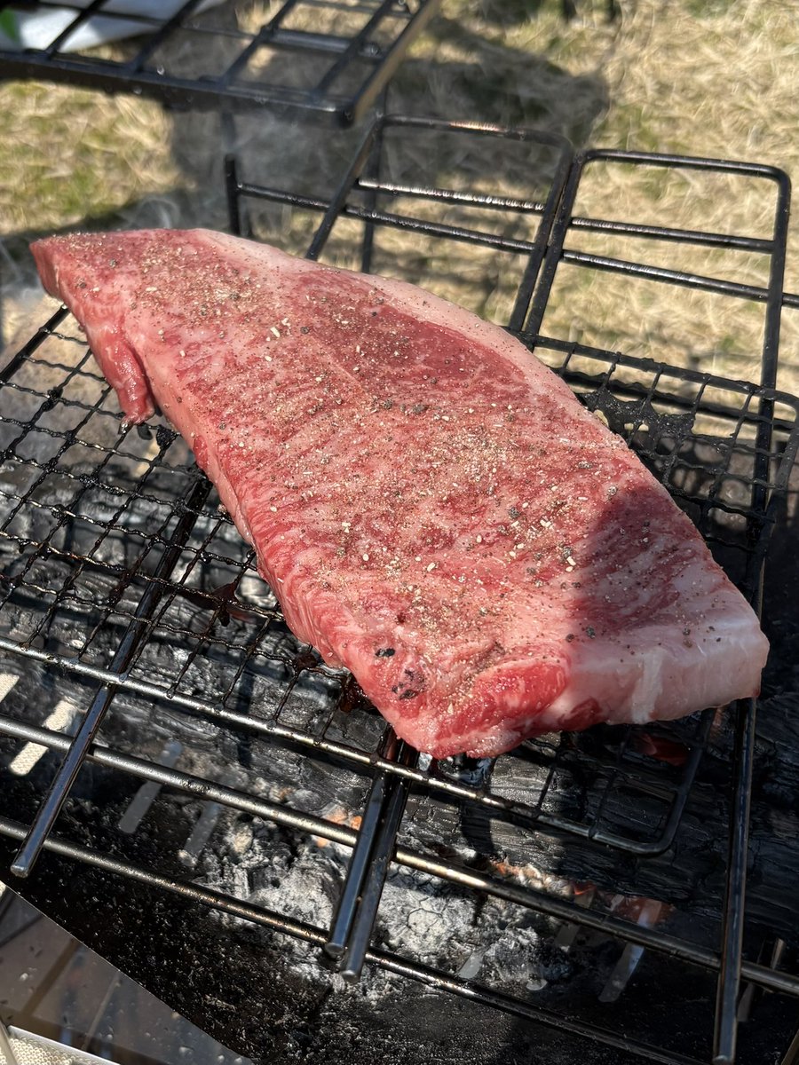 激老٭͜ボビڡ 보비욘 tweet media