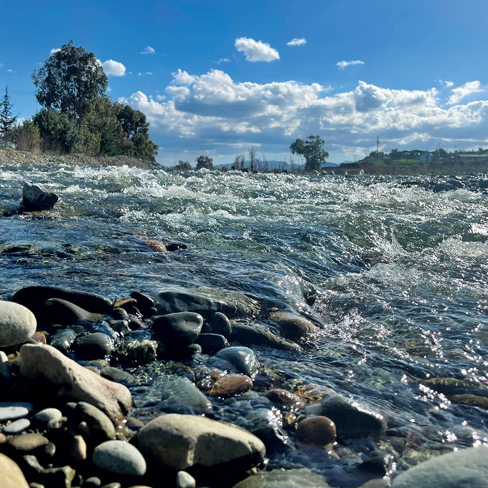 UCLan Cyprus tweet media