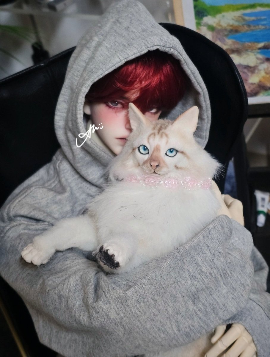 ✨영원한 영님의 시안✨ tweet media