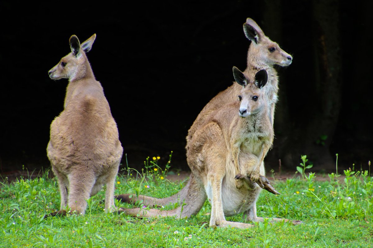 Darrell James Travel tweet media