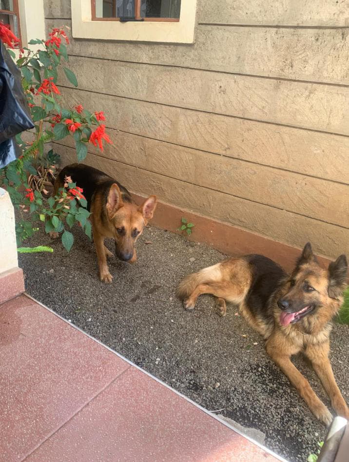 Ndo jua inawaka hapa 😂good morning friends of kuria 🌞🇰🇪 weka like nikufollow then unifollow back