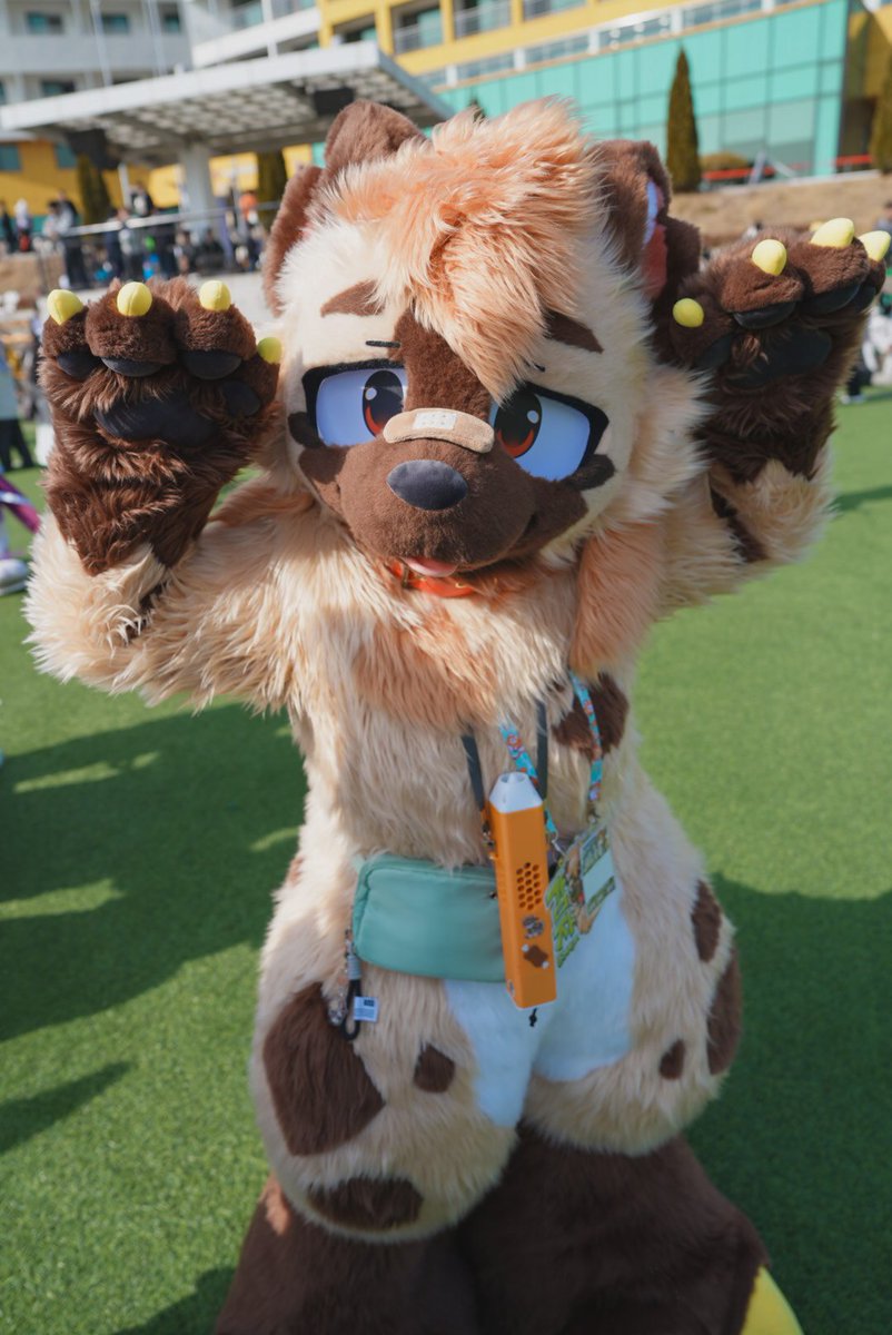 ˚‧♪ Roan ⁺˚೫‧* tweet media