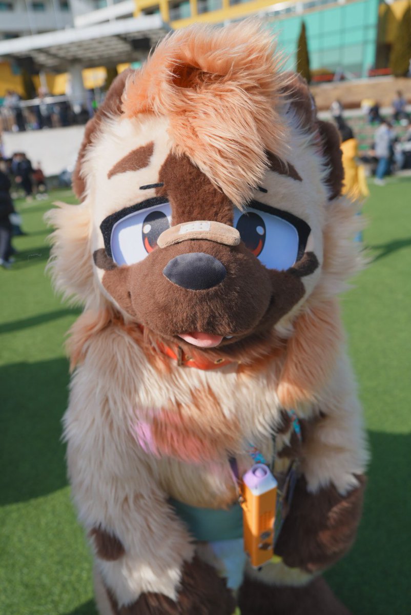 ˚‧♪ Roan ⁺˚೫‧* tweet media