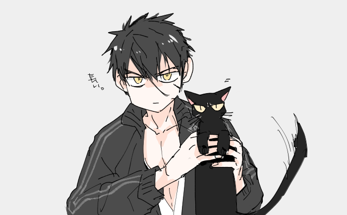 🐈とどうだぬきまさくに