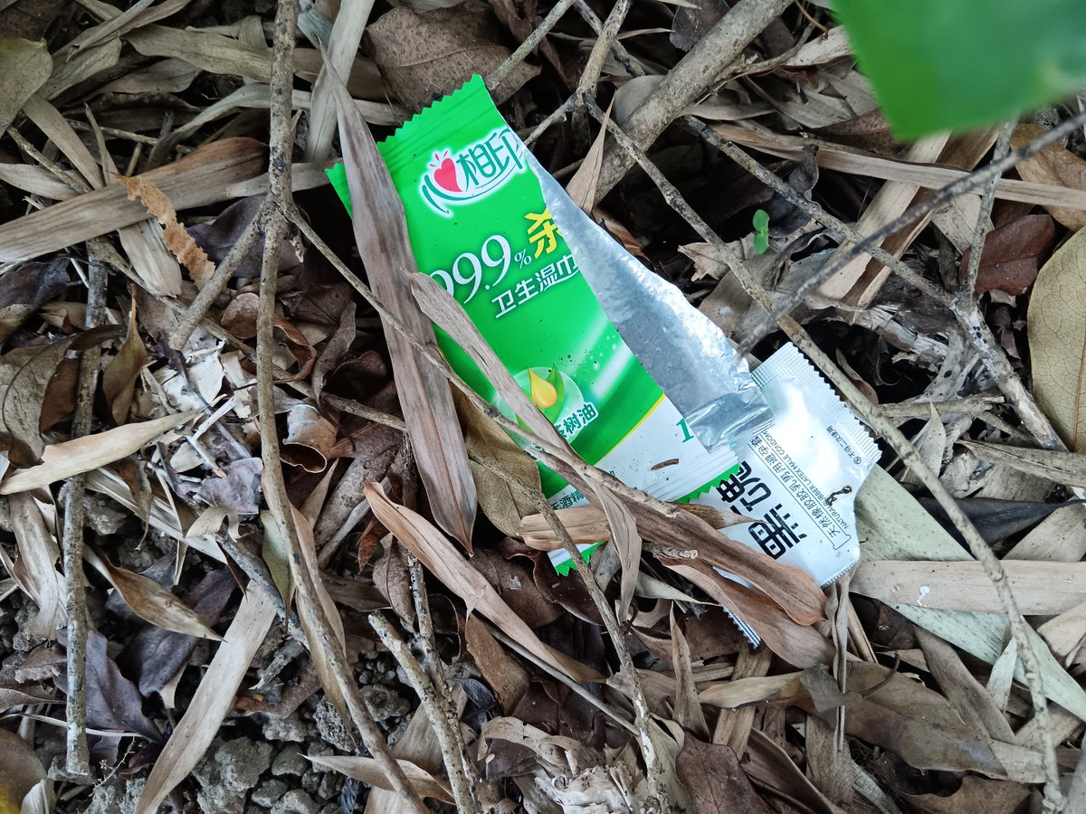 红头很龟 tweet media