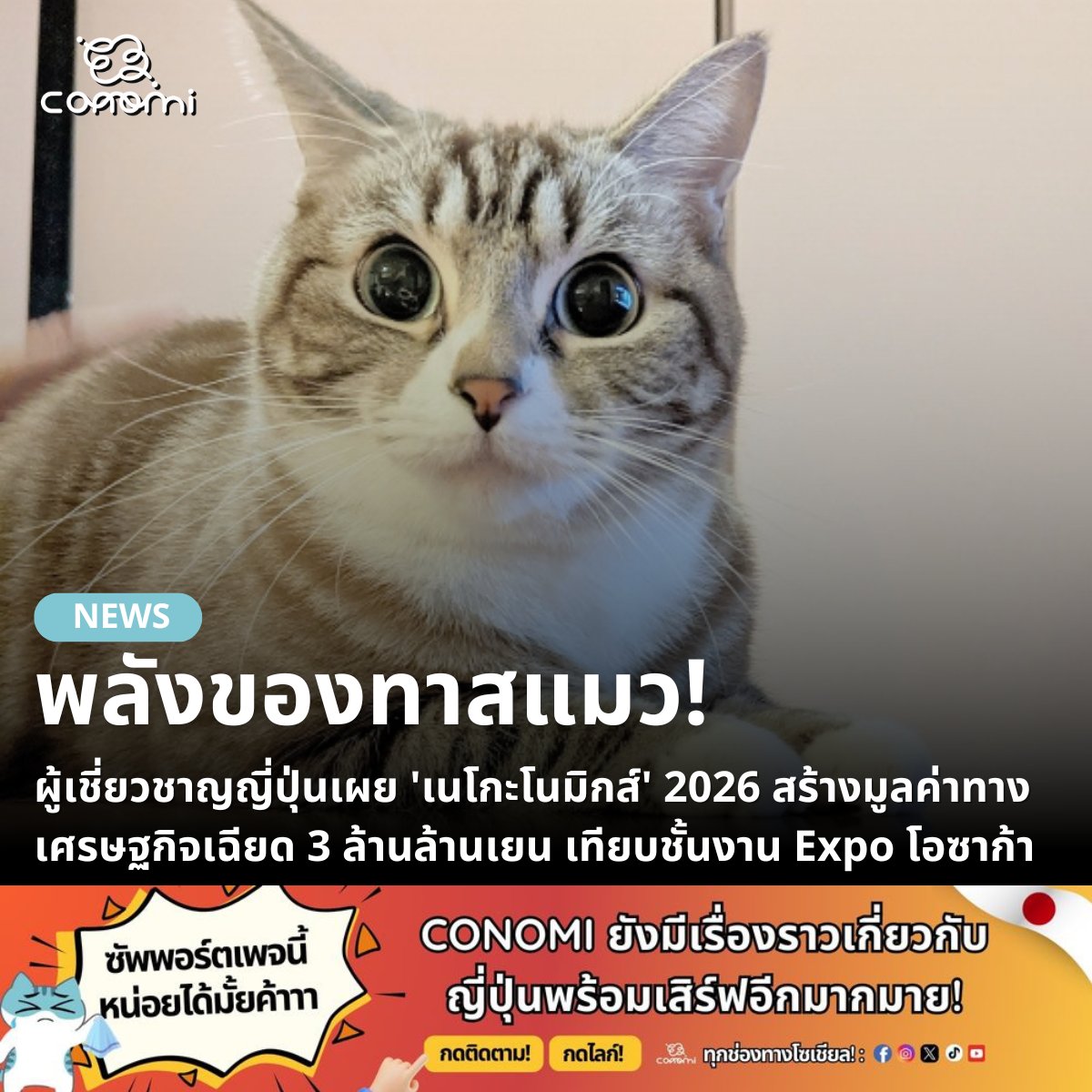 🔹ศาสตราจารย์เกียรติคุณมิยาโมโตะ คัตสึฮิโระ ผู้เชี่ยวชาญด้านการวิจัยมูลค่าทางเศรษฐกิจแห่งมหาวิทยาลัยคันไซ เปิดเผยผลการประมาณการ 'มูลค่าทางเศรษฐกิจจากแมว' หรือที่รู้จักกันในชื่อ 'เนโกะโนมิกส์' (Nekonomics) ประจำปี 2026 โดยคาดว่าจะมีมูลค่าสูงถึงประมาณ 2.9488 ล้านล้านเยน