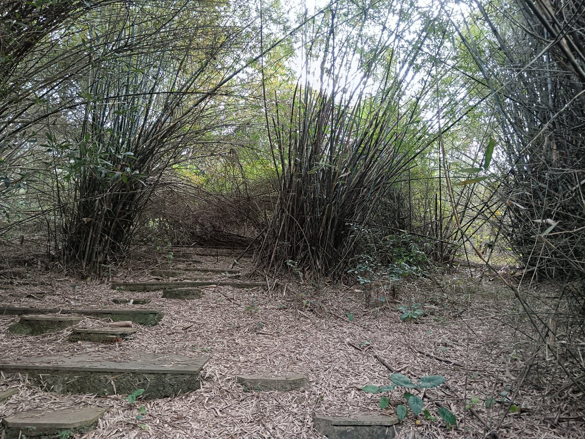 红头很龟 tweet media