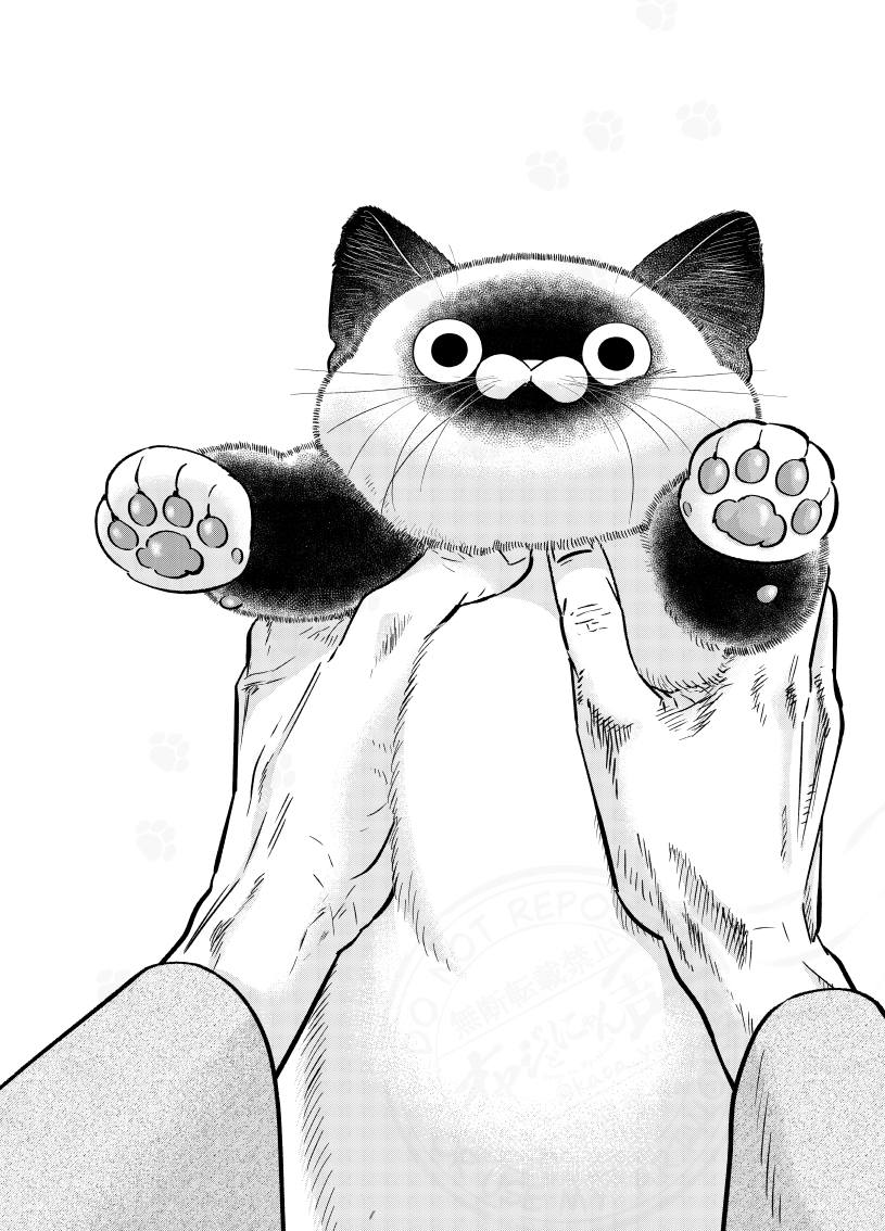 猫の腕にある謎のぽっち。 （0／3）