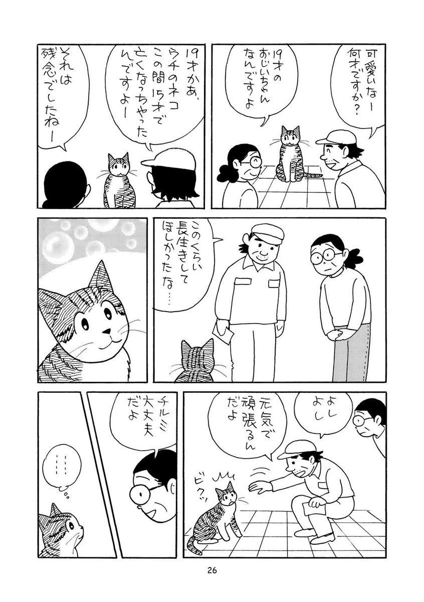 セツコ・山田(猫おばさん) (@setsuko_yamada) / Posts / X