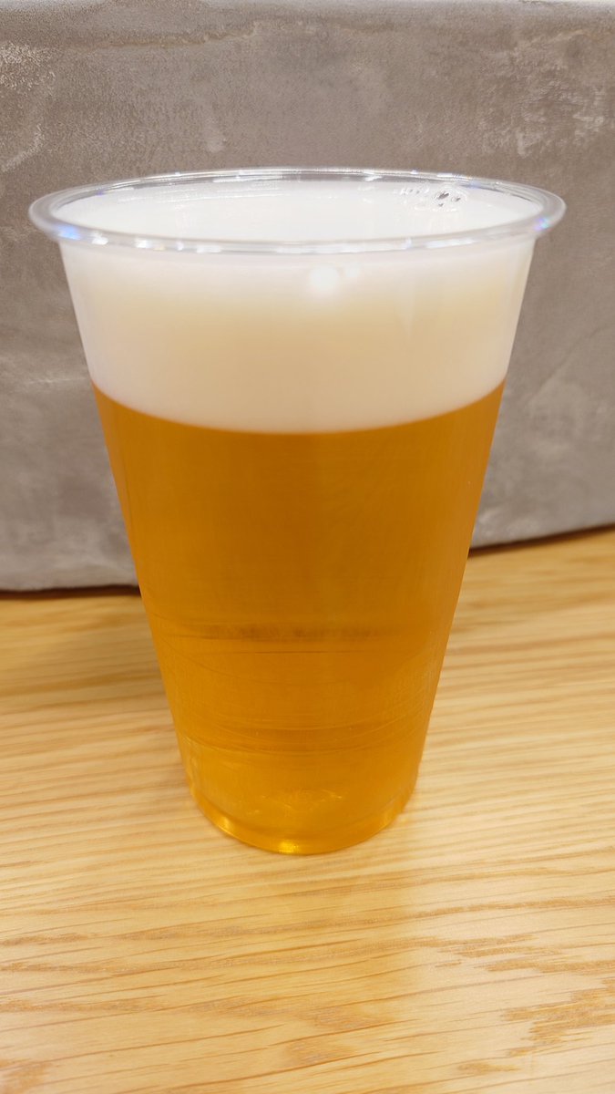 今日も今日とて乾杯🍻