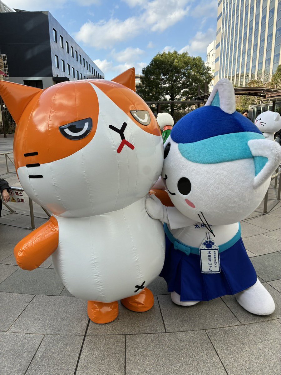 みんなありがとにゃん✨️ฅ^⸝⸝> ·̫ <⸝⸝^ฅ 初めましてのお友だちに