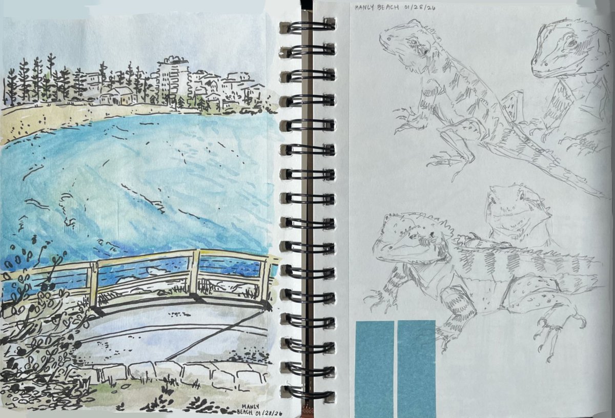 seta setacin tweet media