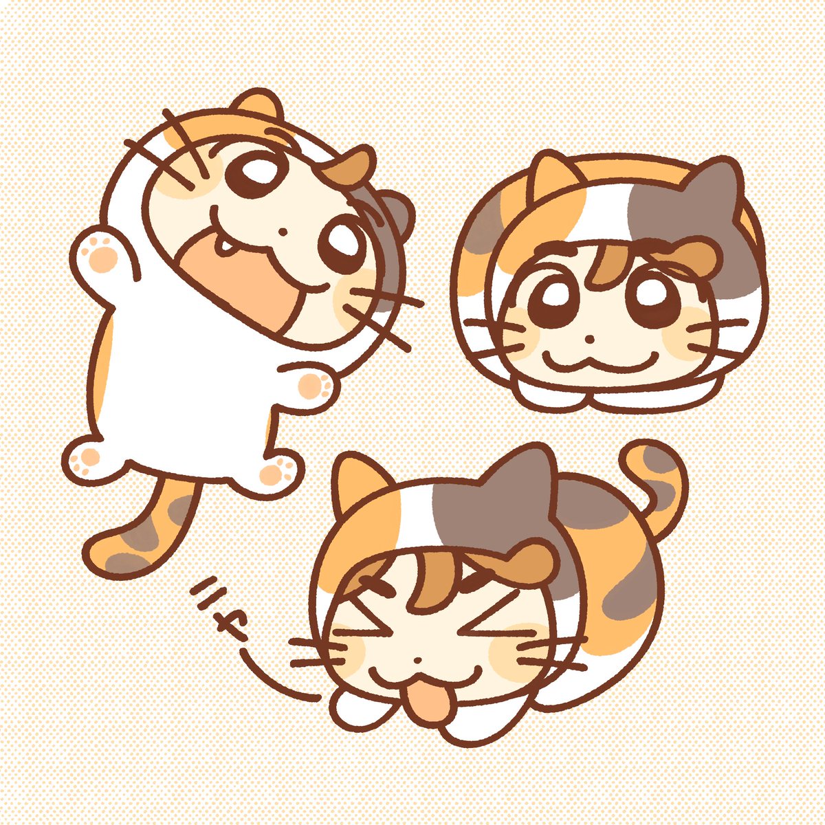 2.22🐱
#어묵바 #小黑倫