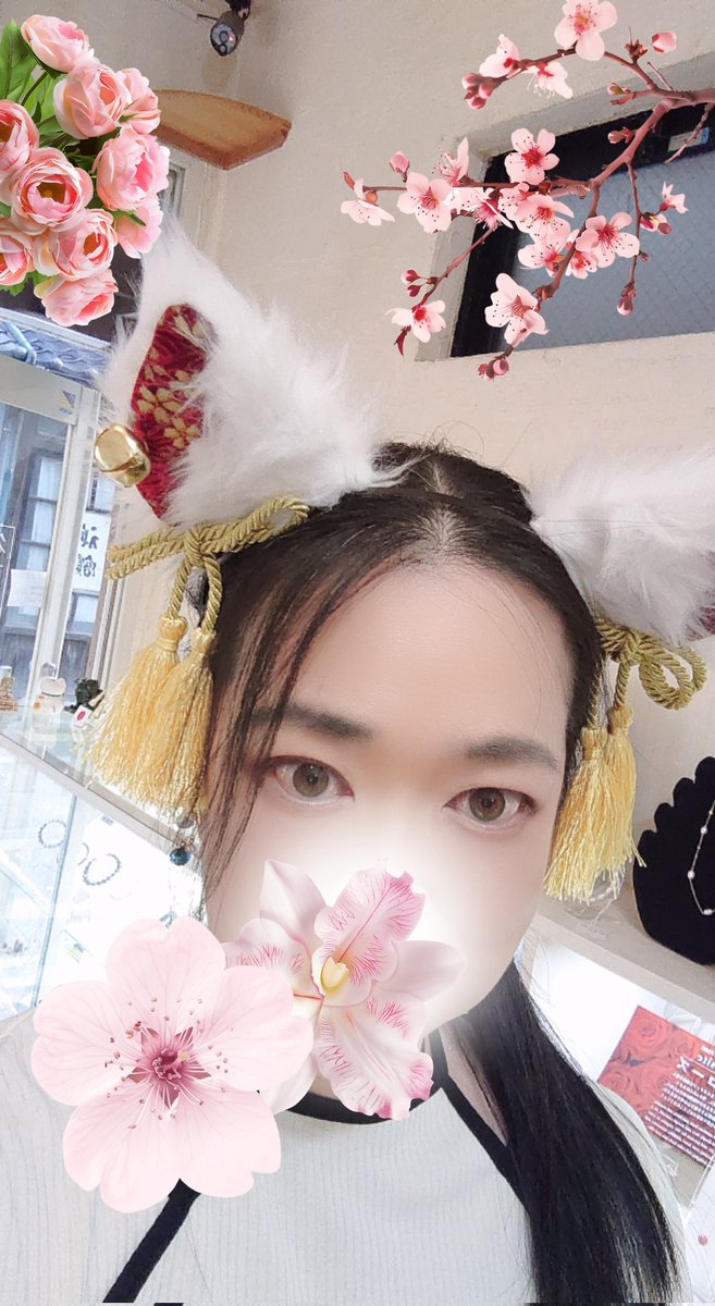 Hotaru_Camellia's tweet image. 今日さ、猫の日じゃん？🐱
そりゃ猫耳着けますよ🐱
ついでにお店の中に花を咲かせてみましたよ🐱🌸

#猫の日
#谷根千彩石堂
#PRISMA
#店主が居ない隙に