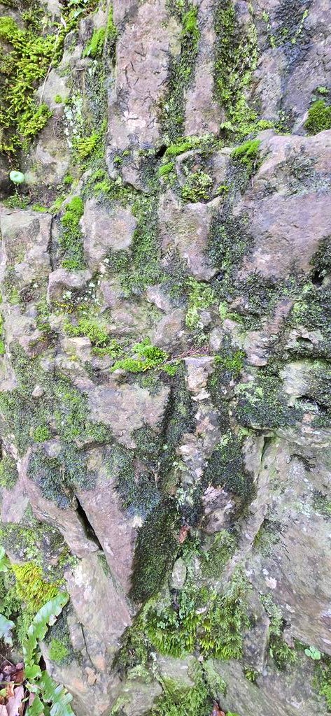 Jamie warren tweet media