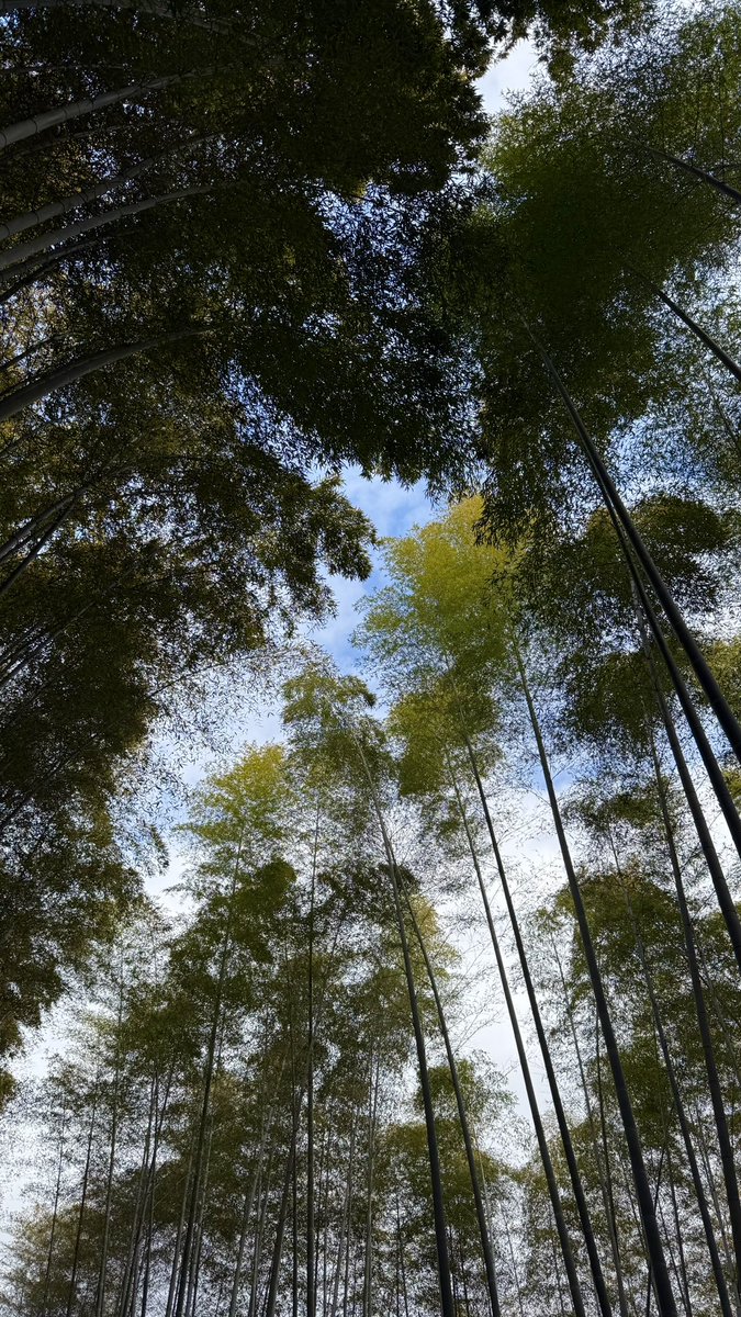 モズ「みんなもまた来たいだろうな、ここ」

#バスタフェ #BUSTAFELLOWS
#バスタフェin沖縄🌺 #fromKYOTO