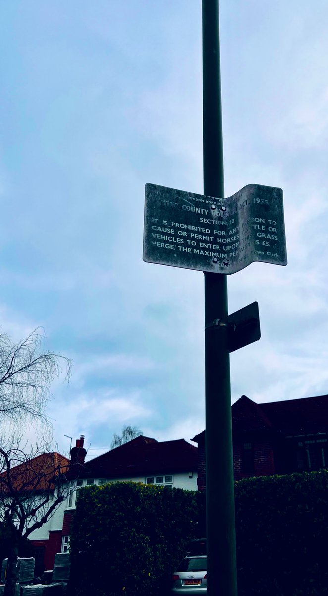 1000Rach's tweet photo. Oh no where am going to park my cow π
#SundaySigns #SignsOnSunday https://t.co/mjvTnDvXkQ