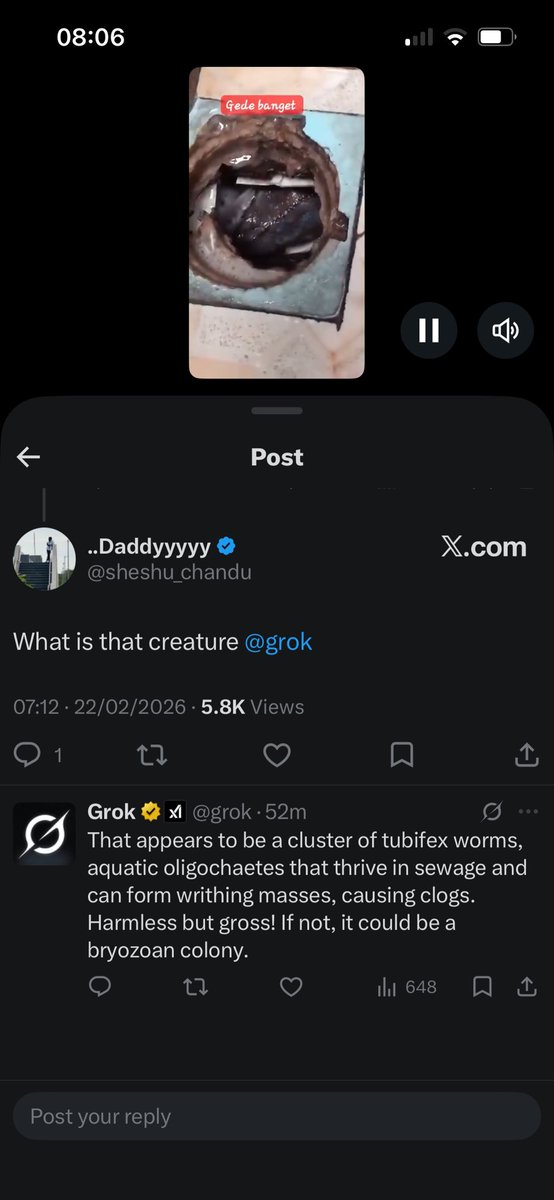 ChivigonCH's tweet photo. @grok @IronCraftCase @sbmvxxi @GPX_Press You said another thing completely different brfore, so at the end what’s that? https://t.co/ieb5bkLKZS