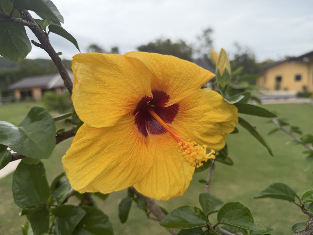 nonno917 tweet media