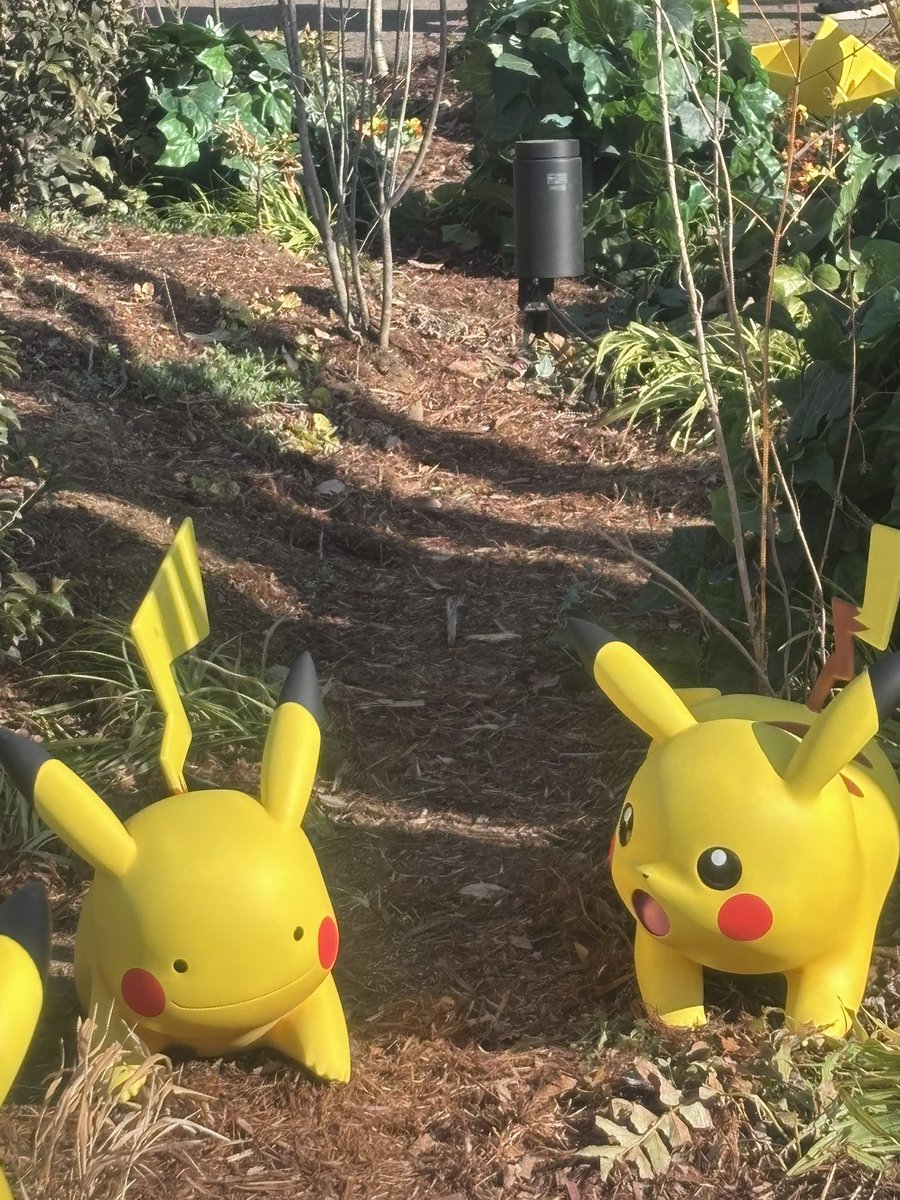 メタモンみーつけた！👀 #ポケパークカントー #ポケぬい #ポケモン