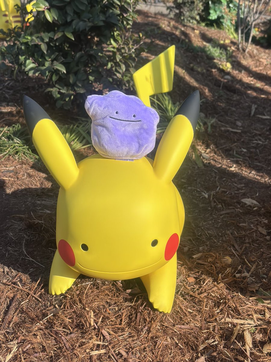 メタモンみーつけた！👀 #ポケパークカントー #ポケぬい #ポケモン