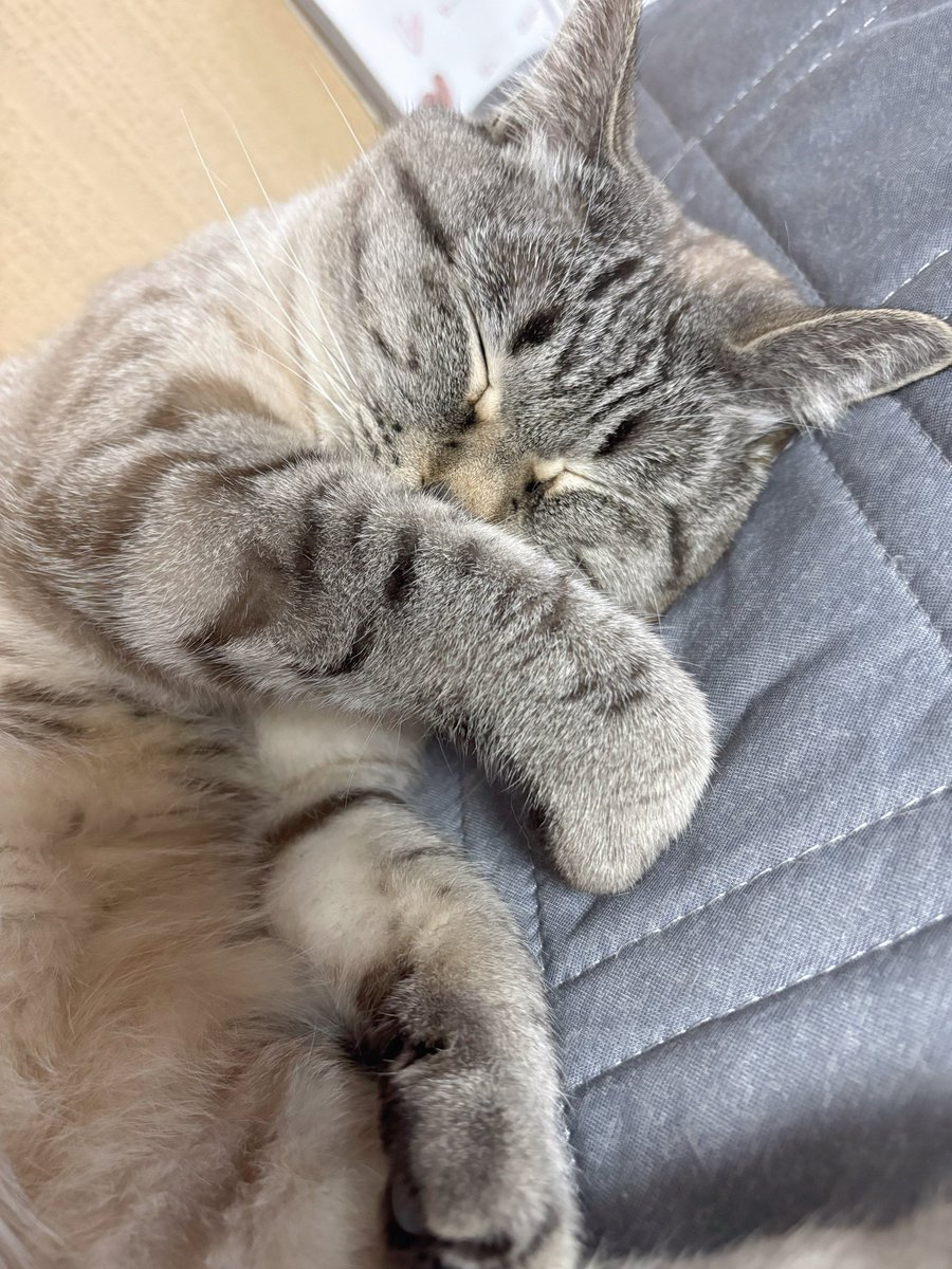 ふぅ (@fuchan0606) / Posts / X