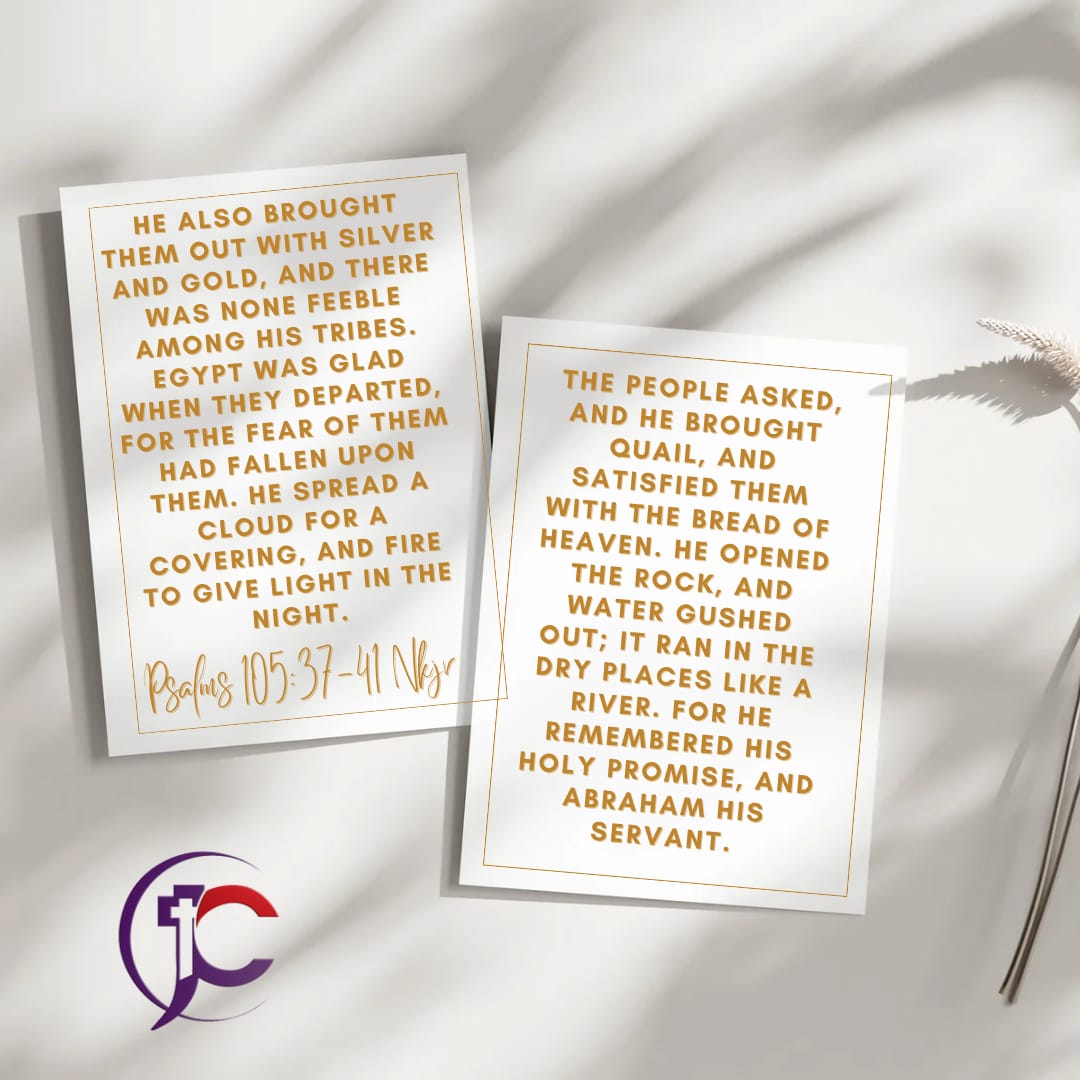 smartdony's tweet image. #Thanksgiving