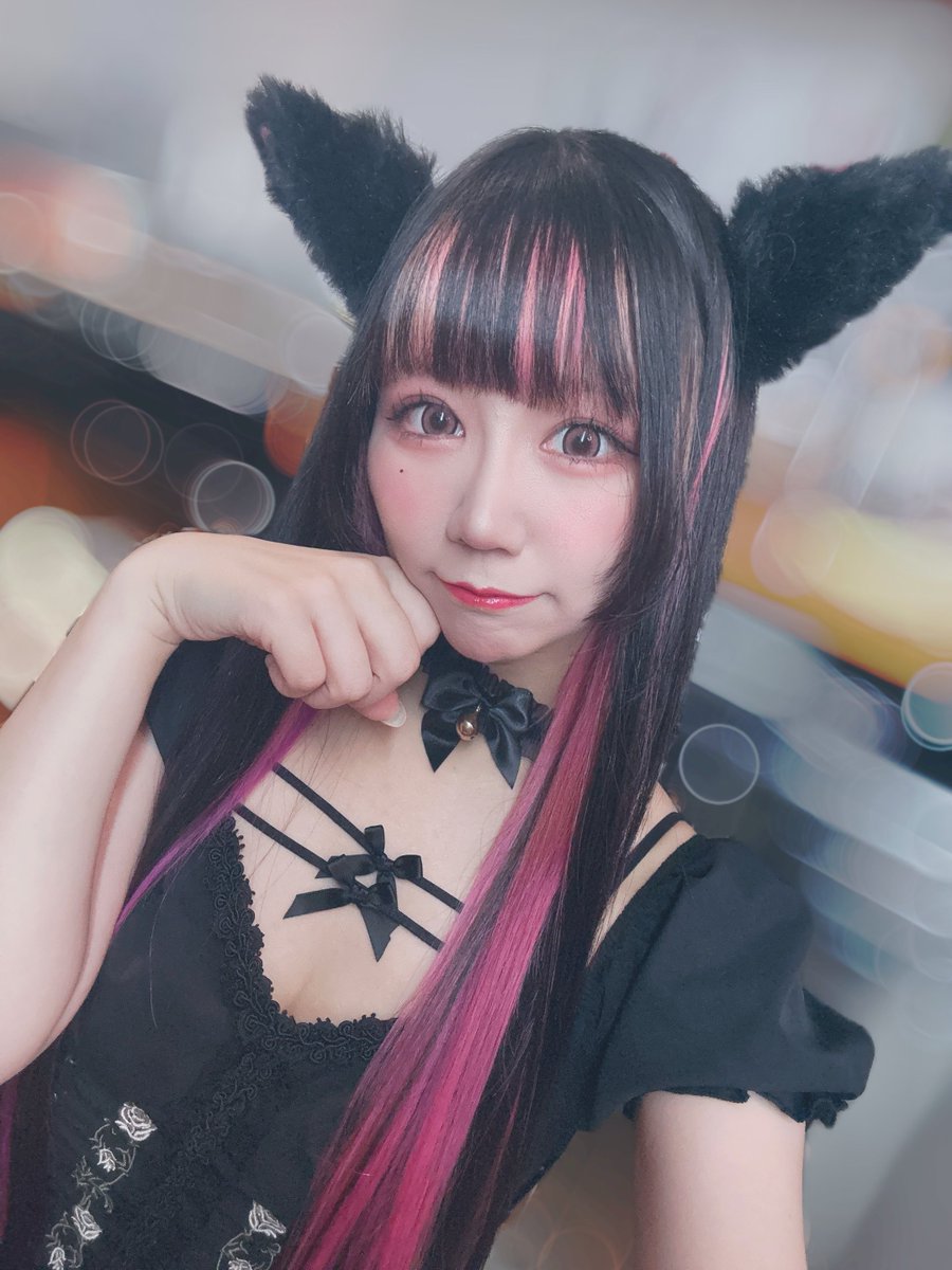 ねこの日𛰙᭜᭜🐾