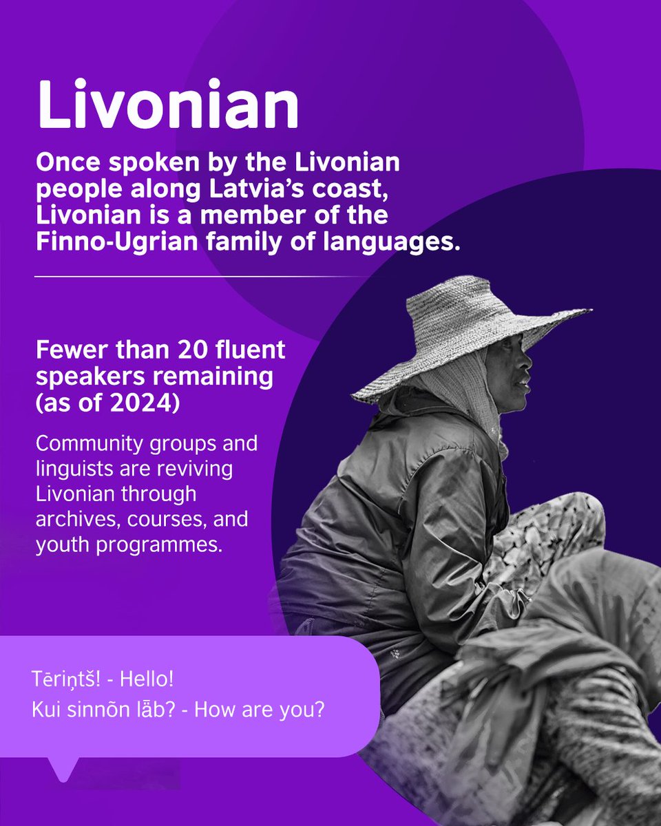 British Council tweet media