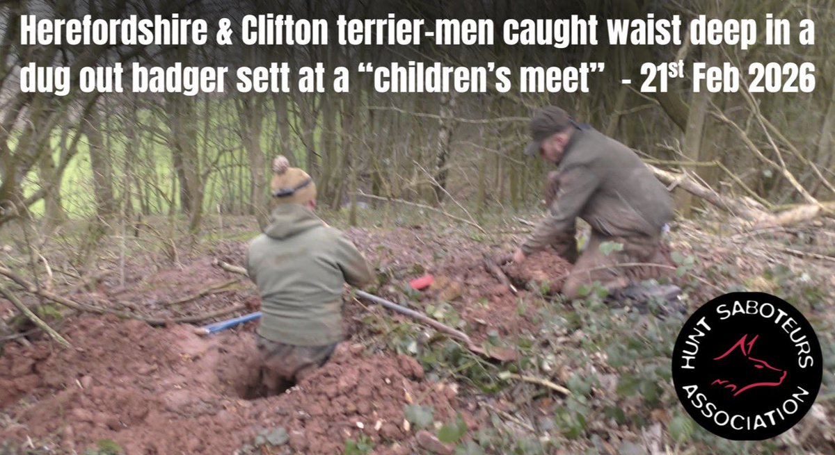 HuntSabs's tweet photo. “Trail” hunting yesterday at the Herefordshire &amp; Clifton Hunt “children’s meet”.  

Looks like the rag fell into a badger sett. 

Police informed. 

📸 Herefordshire Hunt Sabs. https://t.co/uMv3ikwZZw