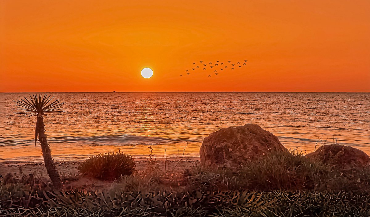 Álex Muñoz 💯 🧡 tweet media