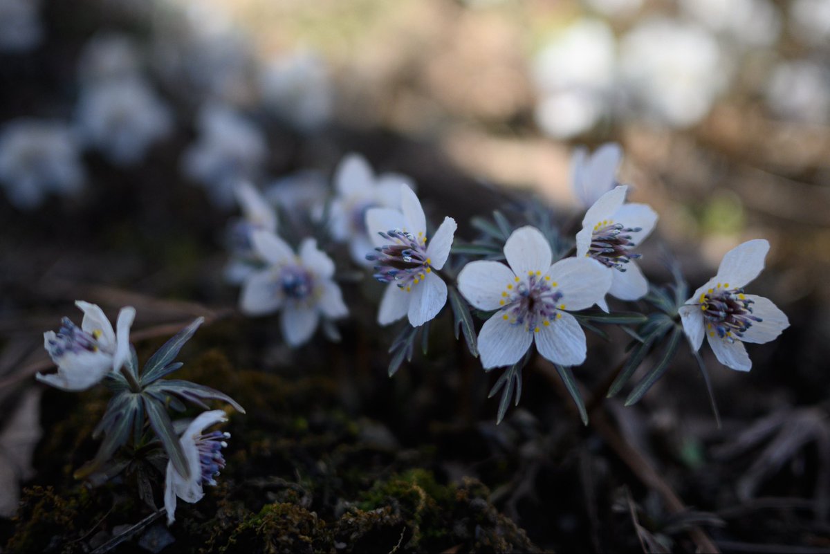 今日もお疲れ様でした